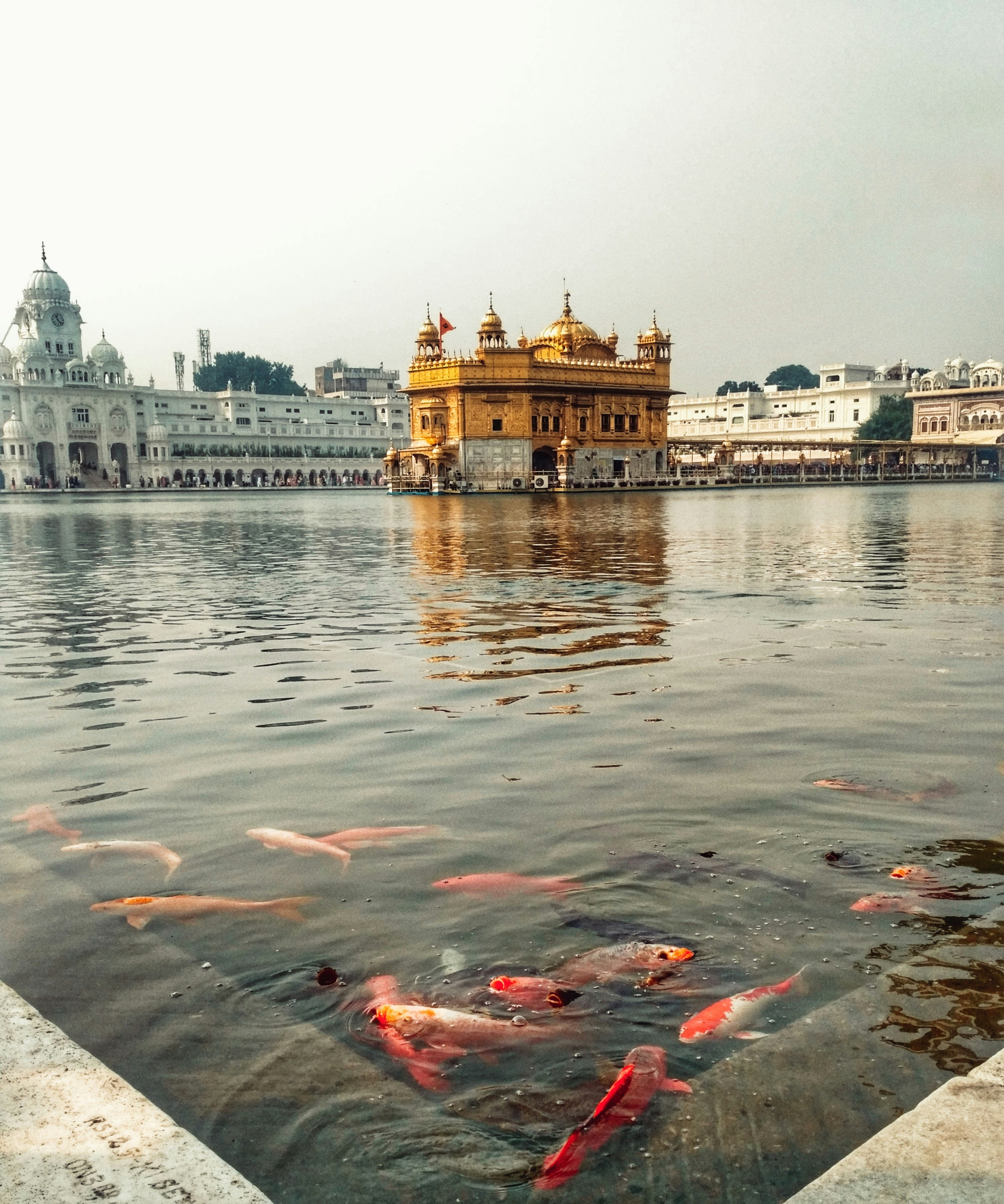 Golden Temple and sarovar ambience in Amritsar